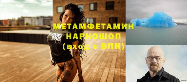 прущие грибы Богданович
