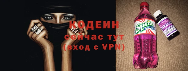 прущие грибы Богданович
