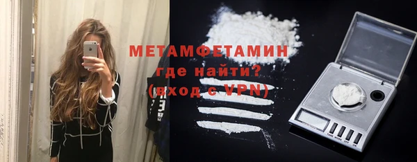 прущие грибы Богданович