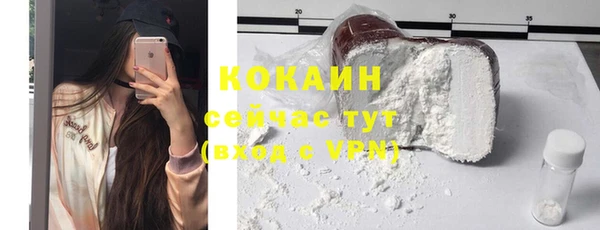 соль ск Богородск