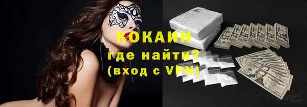 прущие грибы Богданович