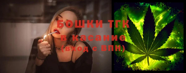 прущие грибы Богданович