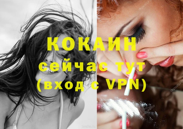 прущие грибы Богданович