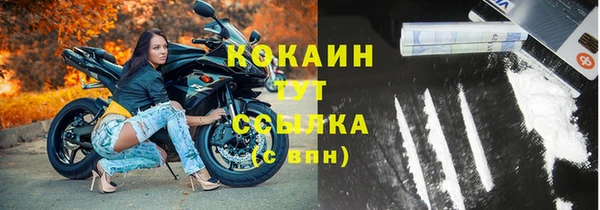 прущие грибы Богданович