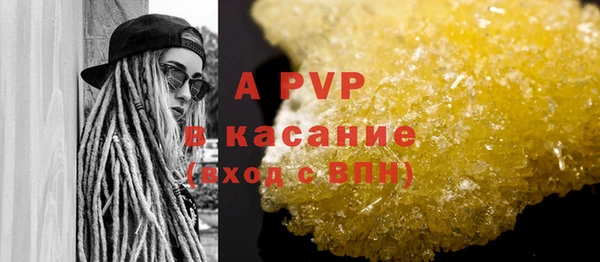 прущие грибы Богданович