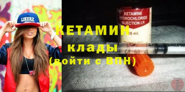 прущие грибы Богданович