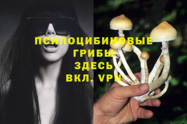 2c-b Богородицк