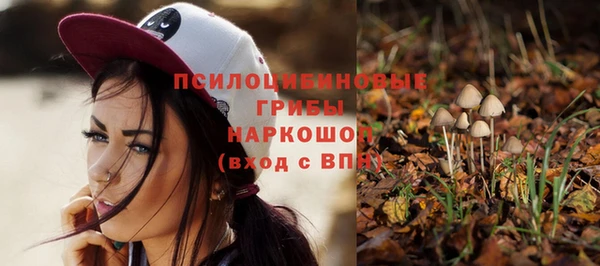 2c-b Богородицк