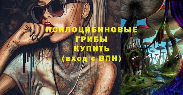 2c-b Богородицк