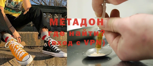 прущие грибы Богданович
