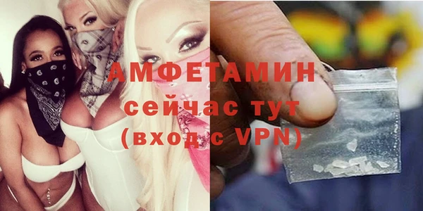 прущие грибы Богданович