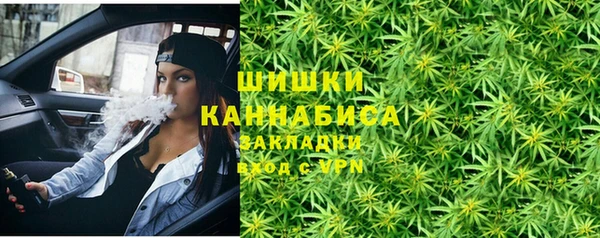прущие грибы Богданович