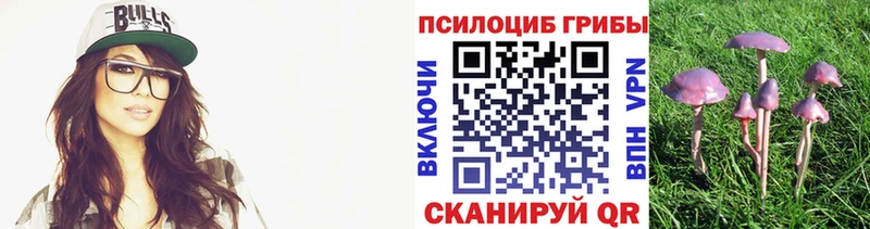 Галлюциногенные грибы прущие грибы  Бугульма 